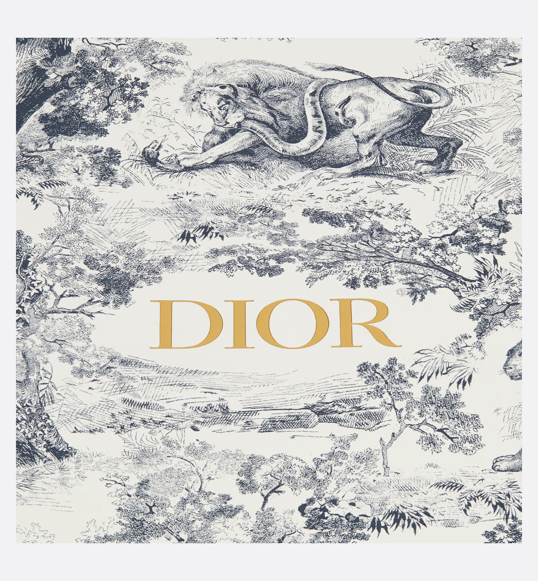 Christian Dior Large Notebook Blue Toile de Jouy