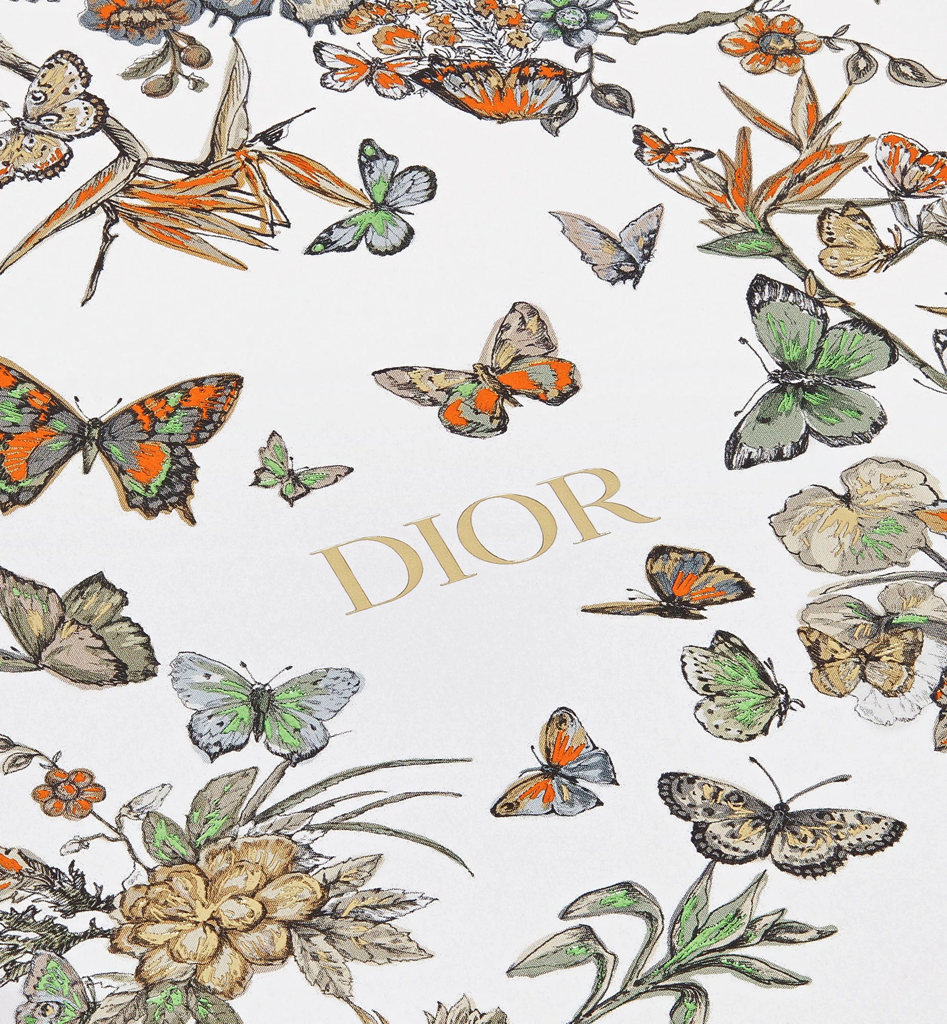 Christian Dior Notebook Multicolor Cruise 24 Exclusive Edition