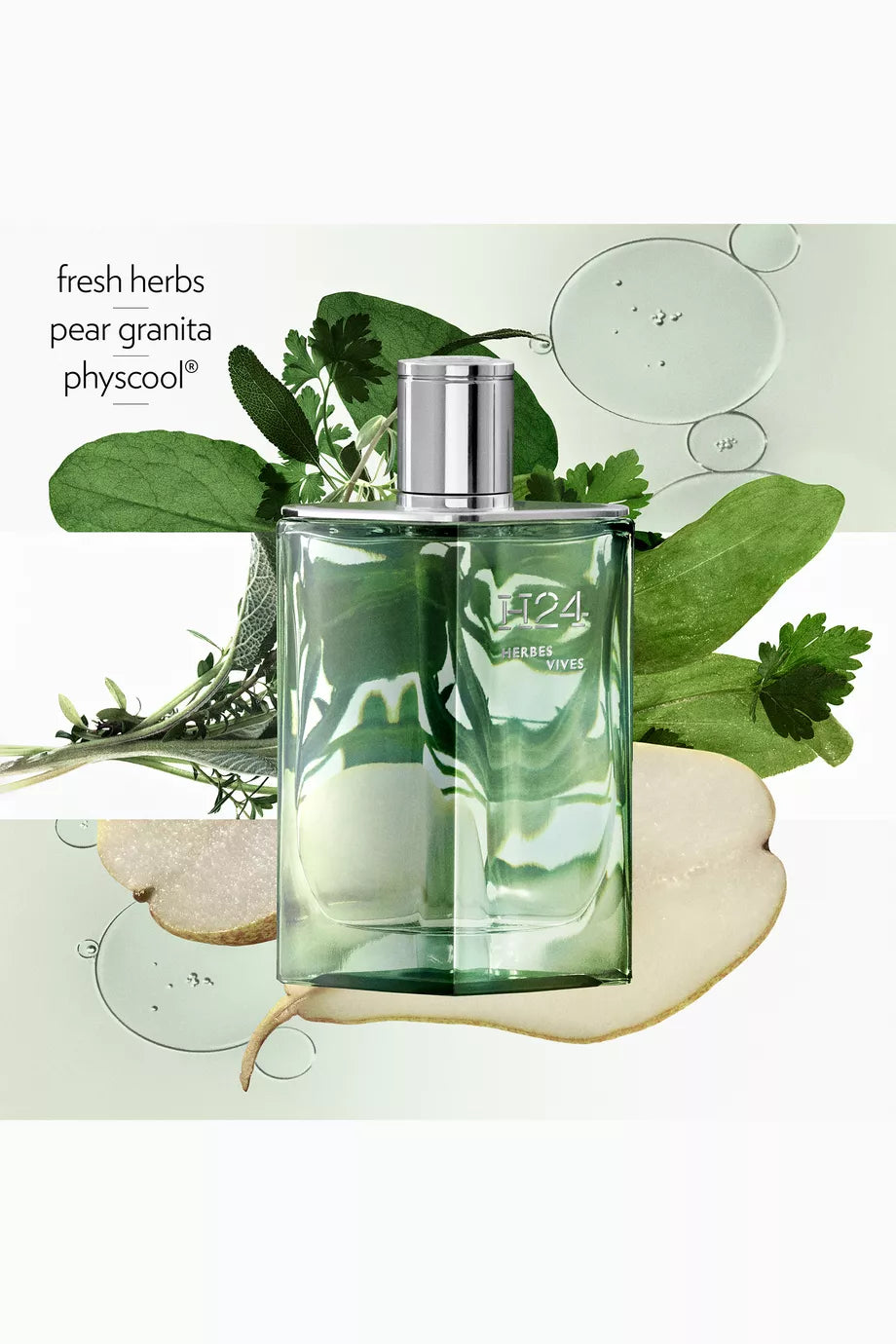 Green perfume bottle with silver cap on a green leafy background