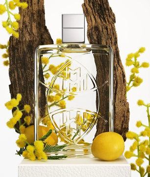 Clear perfume bottle with decorative elements on a white background