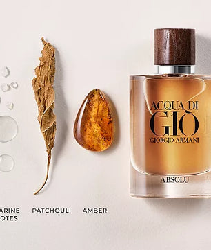 Giorgio Armani Acqua Di Gio Absolu EDP 100ML