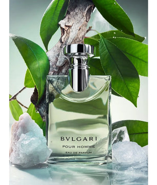 Bulgari Pour Homme perfume bottle with green leaves and rocks in the background