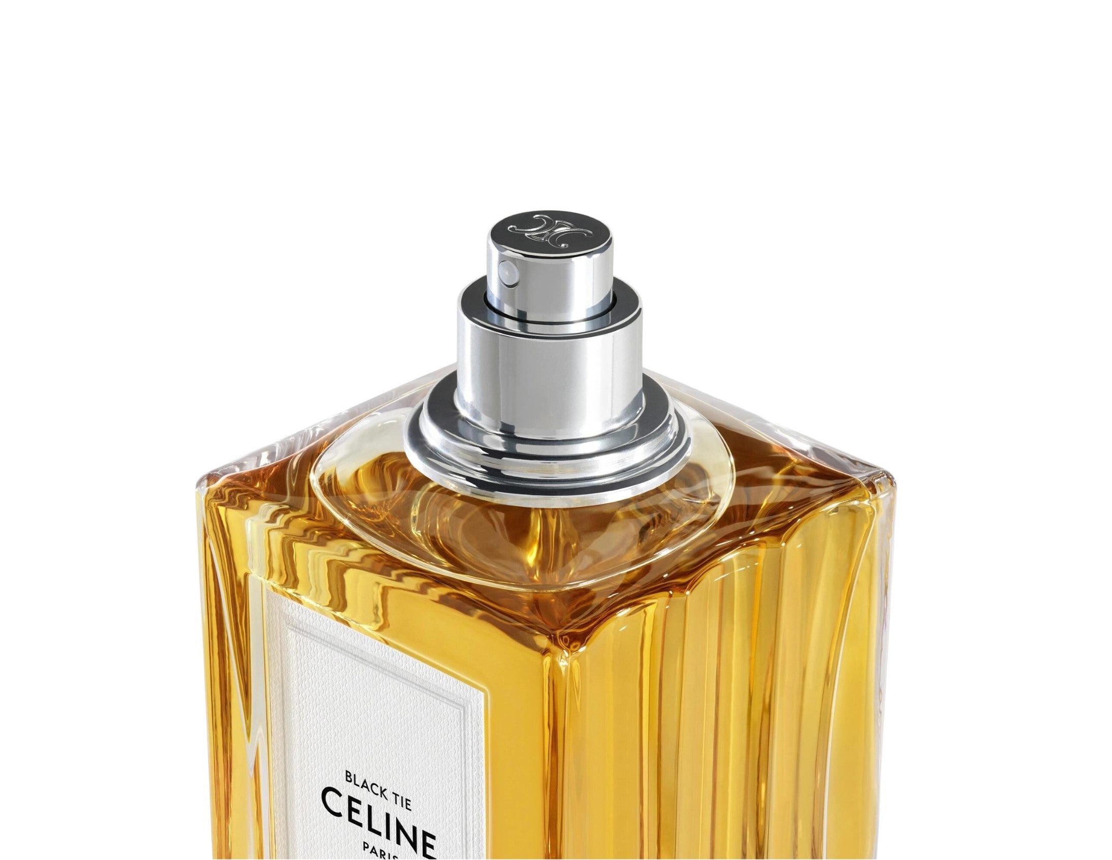 Celine Black Tie Eau De Parfum 100ML – ROOYAS