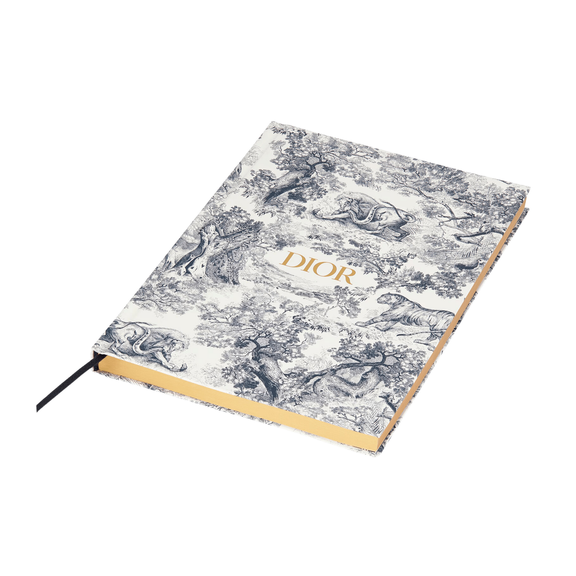Christian Dior Large Notebook Blue Toile de Jouy