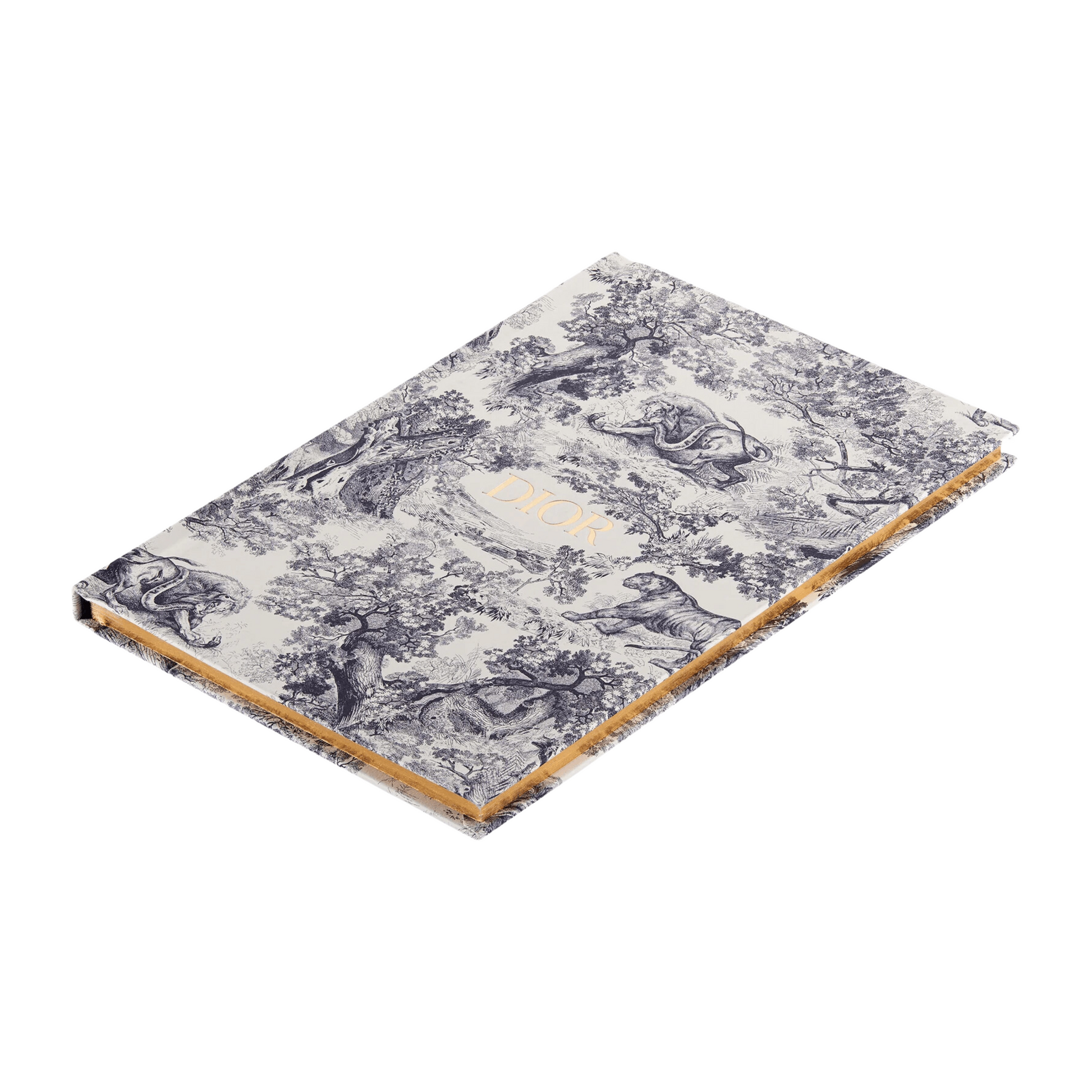 Christian Dior Large Notebook Blue Toile de Jouy