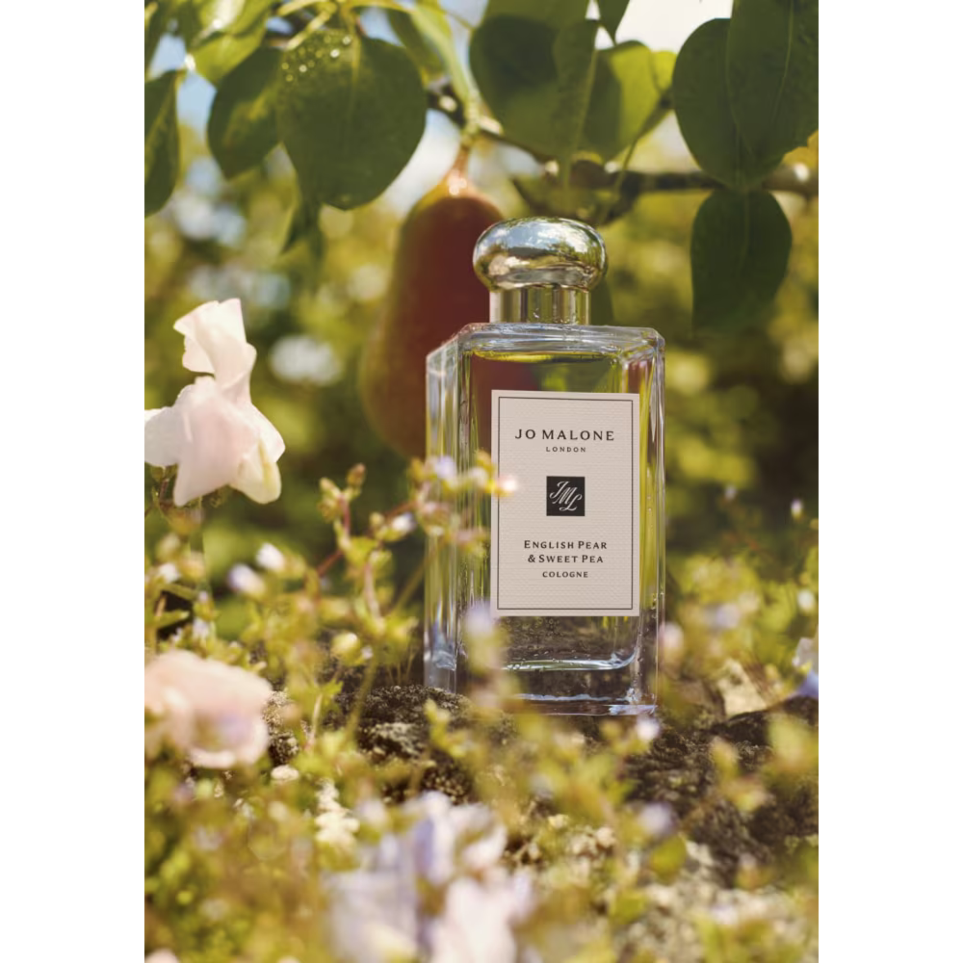 Jo Malone English Pear & Sweet Pea Cologne 100ML