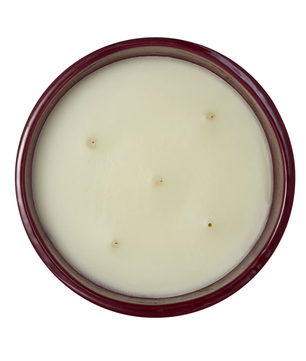 Diptyque Tubereuse Scented Candle