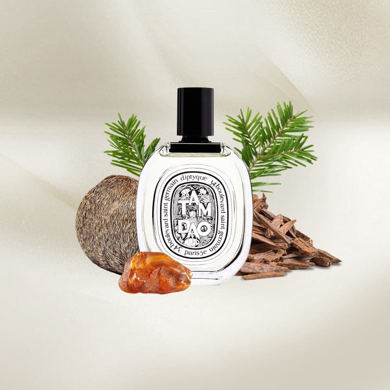 DIPTYQUE Tam Dao Eau De Toilette 100ML
