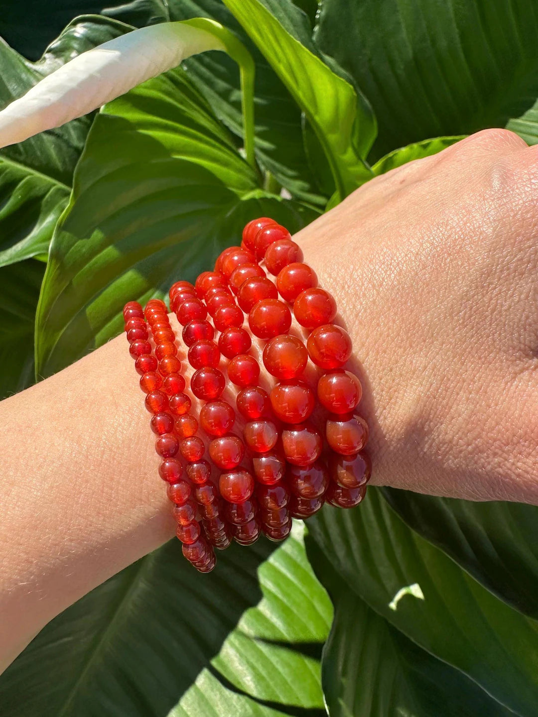 Red beaded bracelet on a wrist with green leaves in the background