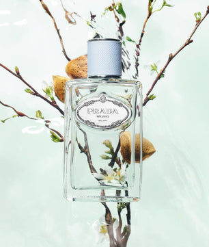 Prada Infusion D'Amande Eau De Parfum 100ML