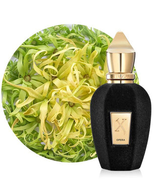 Xerjoff Opera Eau De Parfum Tester 100ML