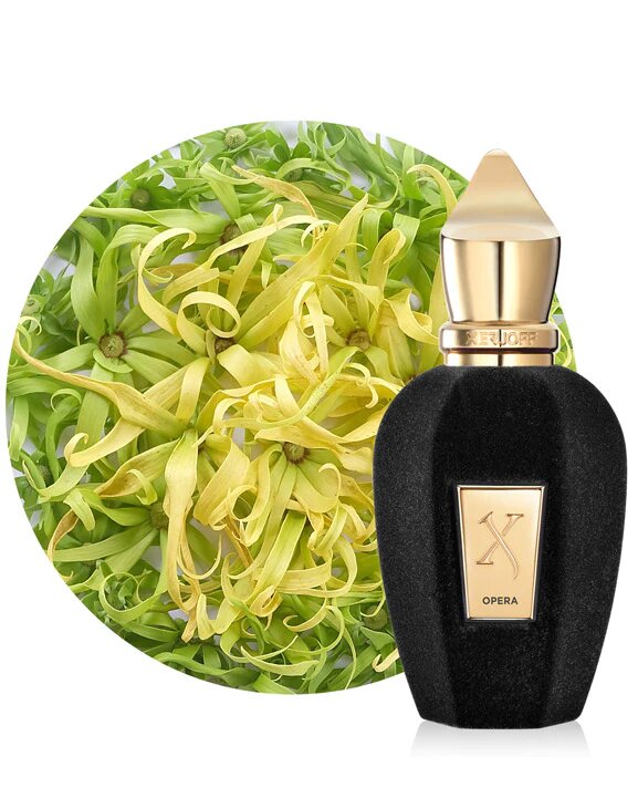 Xerjoff Opera Eau De Parfum Tester 100ML