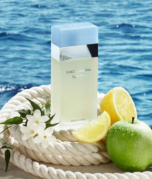Dolce & Gabbana Light Blue Pour Femme Eau de Toilette