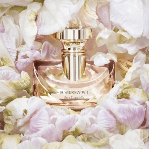 عطر بولغاري روز ايسينشال للنساء - او دي بارفان ، 100 مل