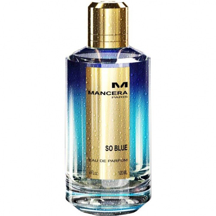 Mancera So Blue Unisex Eau De Parfum 120ML