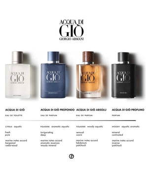 Giorgio Armani Acqua Di Gio Eau De Toilette 100ML