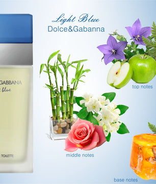 Dolce & Gabbana Light Blue Pour Femme Eau de Toilette