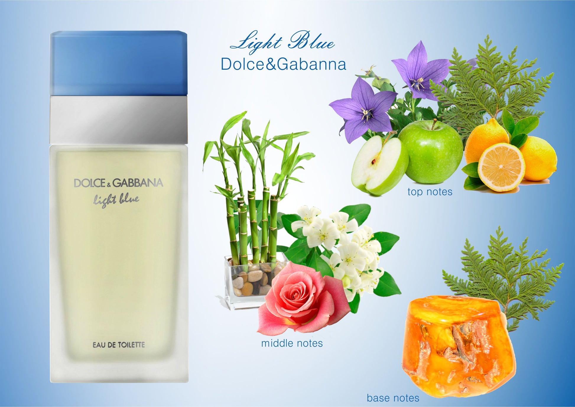 Dolce & Gabbana Light Blue Pour Femme Eau de Toilette