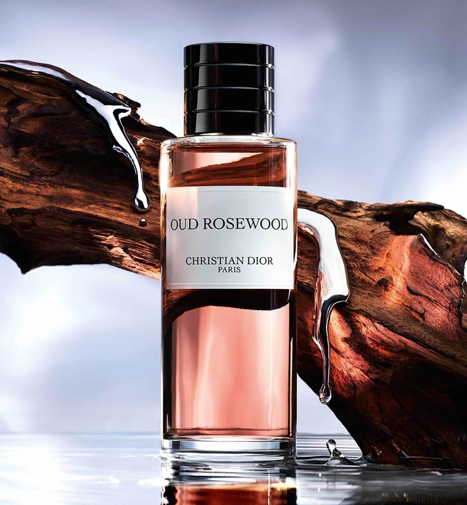 Christian Dior Oud Rosewood Unisex EDP Tester 250ML – ROOYAS