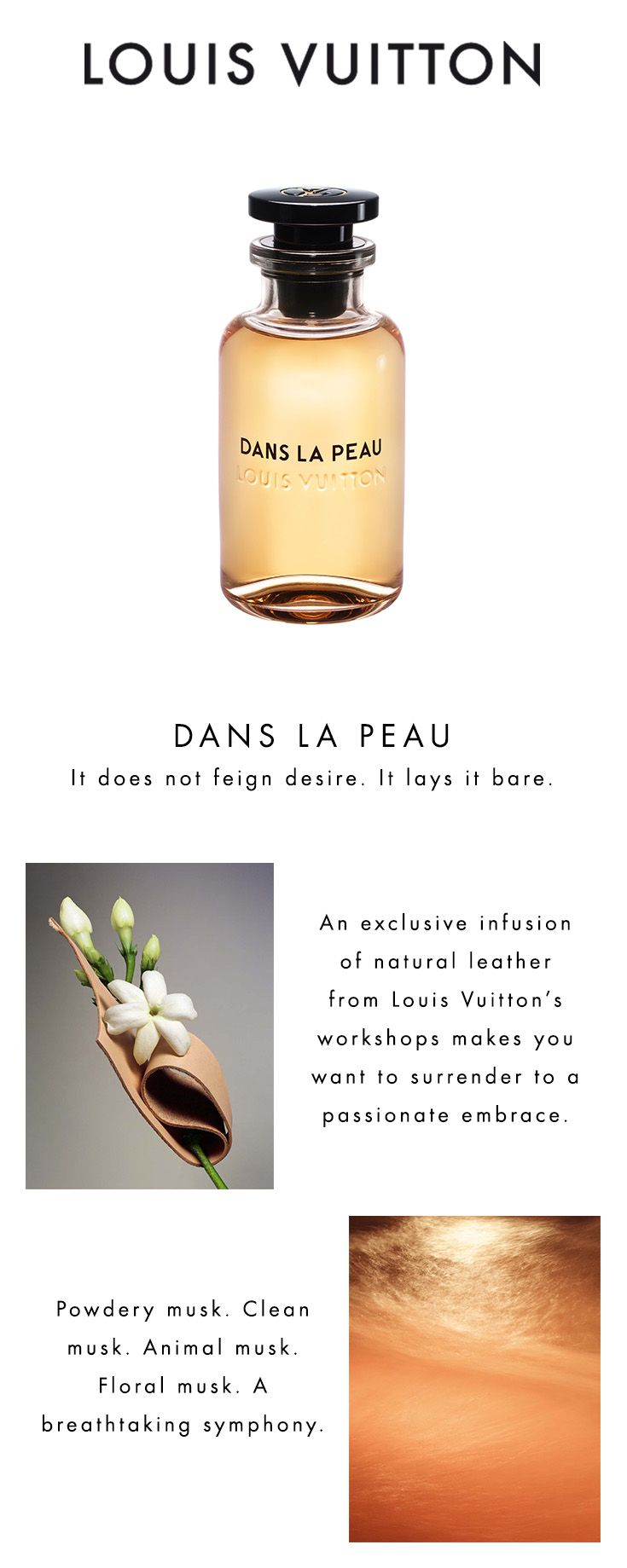 Louis Vuitton Dans la Peau Eau De Parfum 100ML