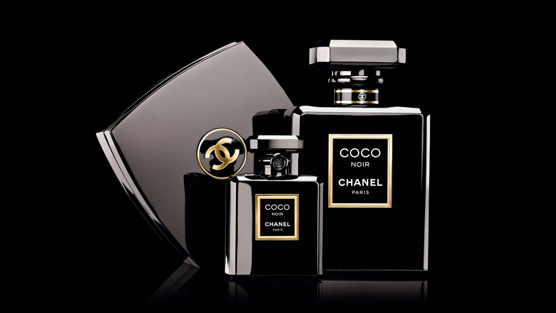 Chanel Coco Noir Eau De Parfum 100ML - ROOYAS