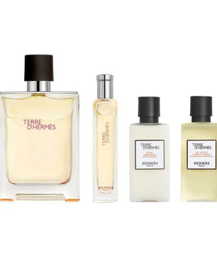Hermes Terre D`Hermes For Men Eau De Toilette 100ML Set