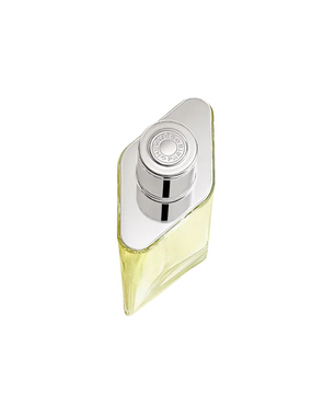 Hermes H24 For Men Eau De toilette 100ML
