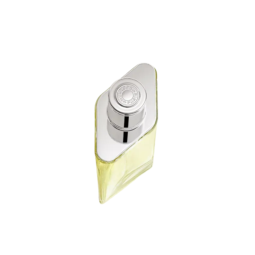 Hermes H24 For Men Eau De toilette 100ML